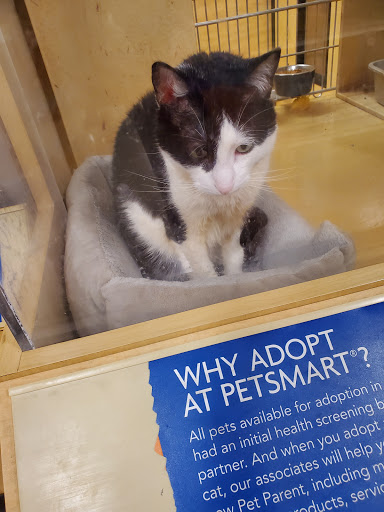 Pet Supply Store «PetSmart», reviews and photos, 9970 Sowder Village Square, Manassas, VA 20109, USA