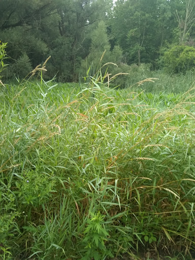 Community Center «Garfield Park Nature Center», reviews and photos, 11350 Broadway Ave, Garfield Heights, OH 44125, USA