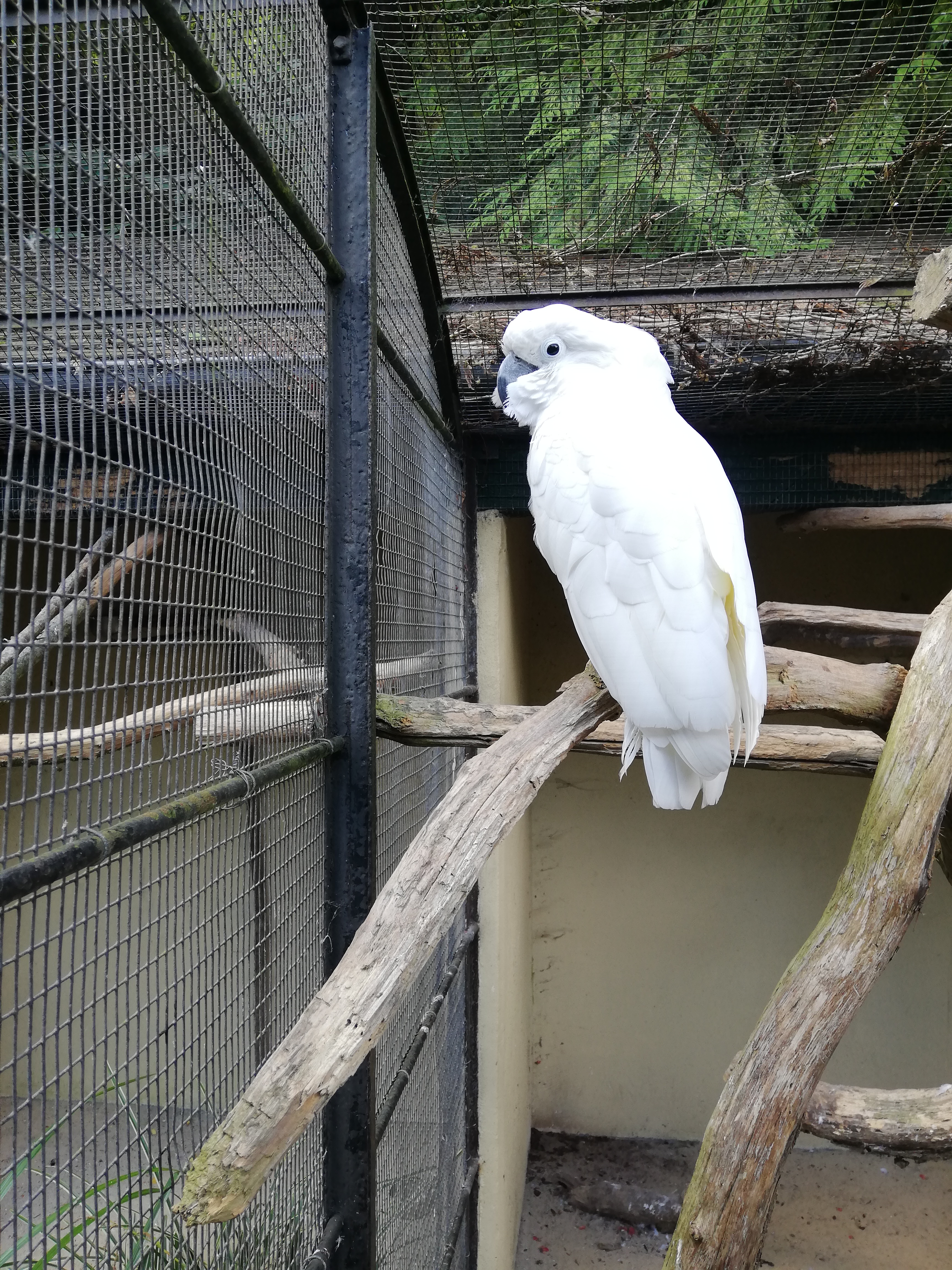 Photo n° 6 de l'avis de Jérôme.r fait le 09/10/2021 à 23:59