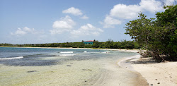 Hay Penny beach'in fotoğrafı - rahatlamayı sevenler arasında popüler bir yer