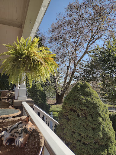 Gift Shop «Flowers In the Attic», reviews and photos, 7505 Saltsburg Rd, Pittsburgh, PA 15235, USA