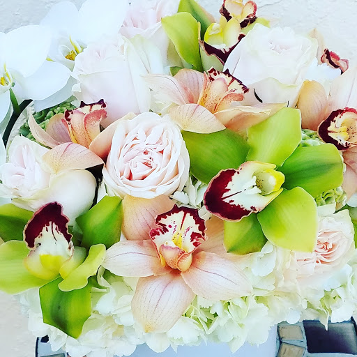 Florist «The JillTed Florist», reviews and photos, 1425 S Ft Harrison Ave, Clearwater, FL 33756, USA