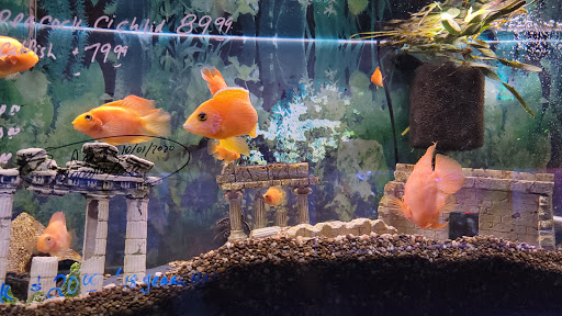Pet Store «Moby Dick Pet Store Inc», reviews and photos, 3700 Sashabaw Rd, Waterford Twp, MI 48329, USA
