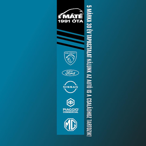 Opinii despre Autó Máté Kft. | Peugeot - Ford - Nissan - Piaggio Márkakereskedés és Márkaszerviz és Alkatrészforgalmazó în Dunaújváros - Autókereskedő