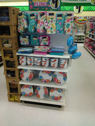 Dollar Store «Dollar Tree», reviews and photos, 5110 Pennell Rd, Media, PA 19063, USA