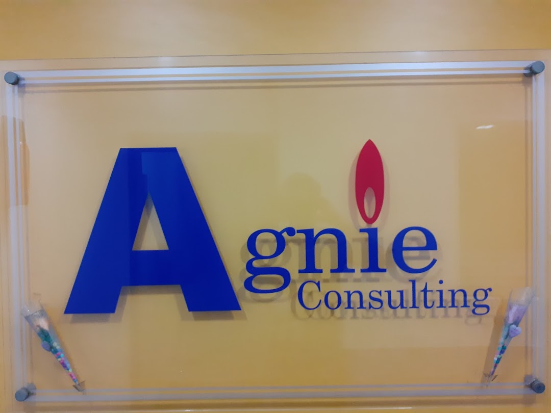 Agnie Consulting India Private Limited
