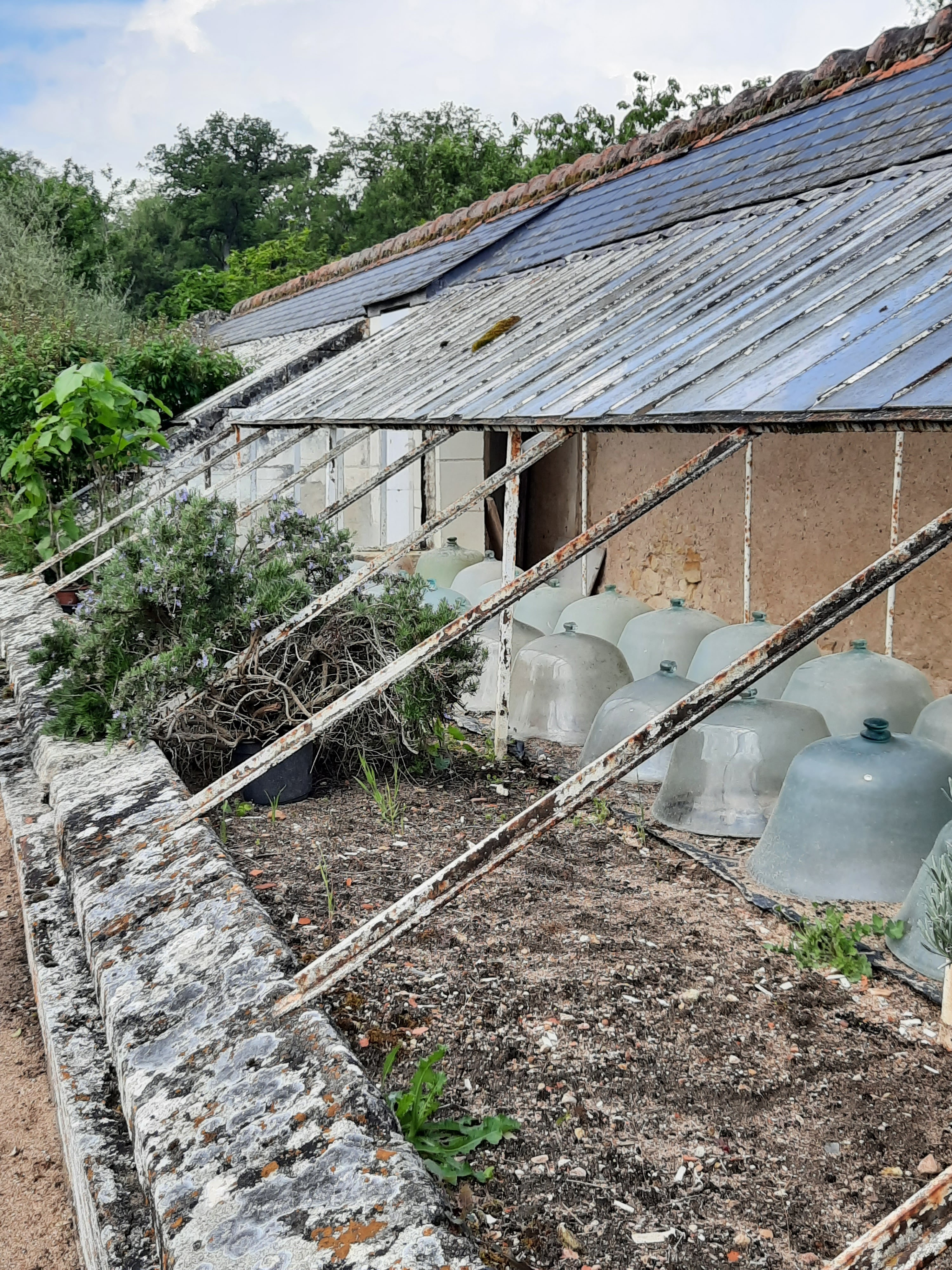 Photo n° 37 de l'avis de laurence.r fait le 16/05/2023 à 10:54