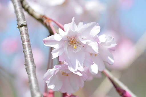 Nature Preserve «Creasey Mahan Nature Preserve», reviews and photos, 12501 Harmony Landing Rd, Goshen, KY 40026, USA