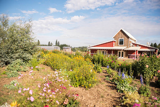Our Table Cooperative, 13390 SW Morgan Rd, Sherwood, OR 97140, USA, 