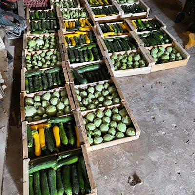 Le Potager de m’Amélie à Maubec