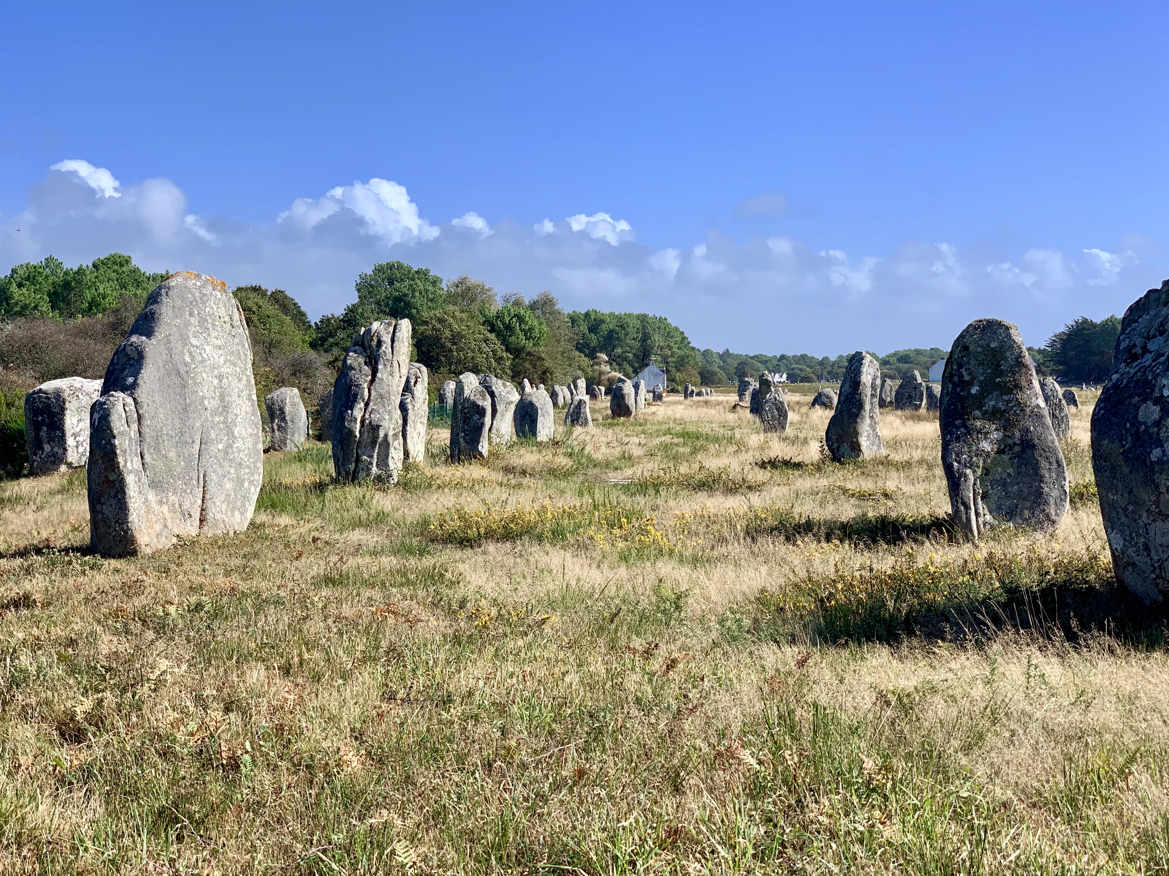 Photo n° 1 de l'avis de Bea.o fait le 25/09/2019 à 08:07