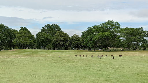 Golf Driving Range «North Woodmere Golf Course», reviews and photos, 750 Hungry Harbor Rd, Valley Stream, NY 11581, USA