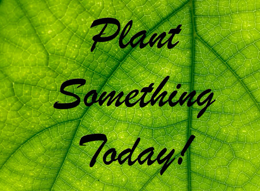 Garden Center «Hilltop Nursery & Garden Center», reviews and photos, 2028 Albany Post Rd, Croton-On-Hudson, NY 10520, USA