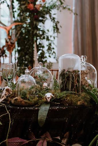 Florist «Splints & Daisies», reviews and photos, 480 New Holland Ave #8105, Lancaster, PA 17601, USA