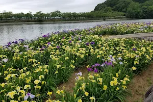 Kikaku Park image