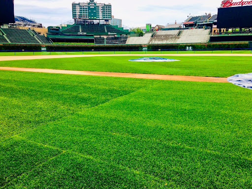 Stadium «Wrigley Field», reviews and photos, 1060 W Addison St, Chicago, IL 60613, USA