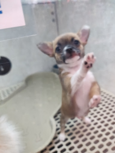 Pet Store «Pet City Pet Shops», reviews and photos, 750 Citadel Dr N # 2092, Colorado Springs, CO 80909, USA