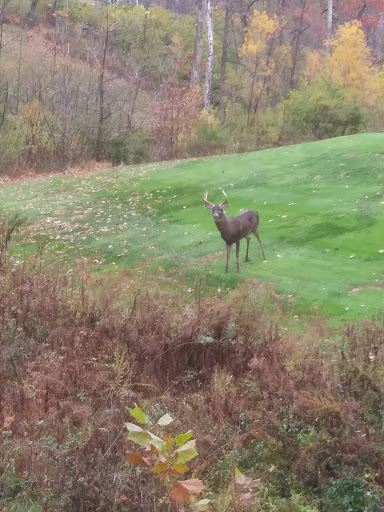 Golf Club «Aston Oaks Golf Club», reviews and photos, 1 Aston Oaks Dr, North Bend, OH 45052, USA