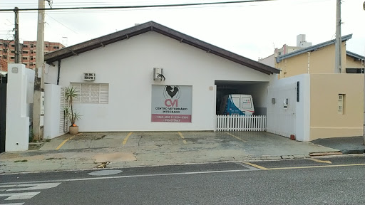 Bicharada em São José do Rio Preto - SP