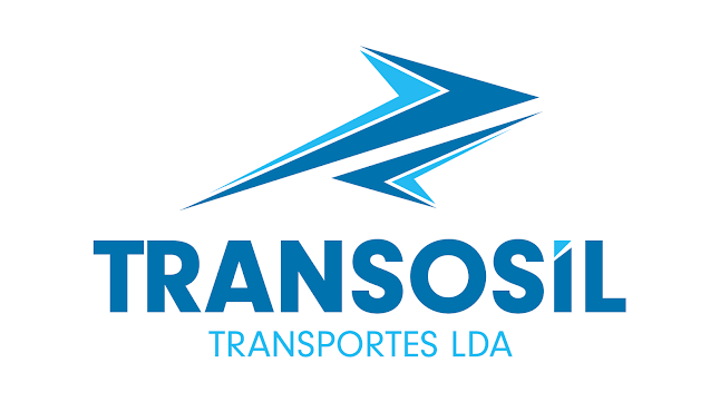 transosil.com