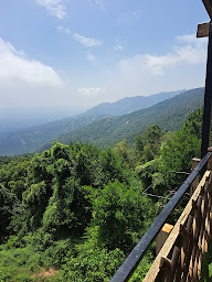 Photo n°11 de CHEZ PAUL POLI à Porto-Vecchio ()