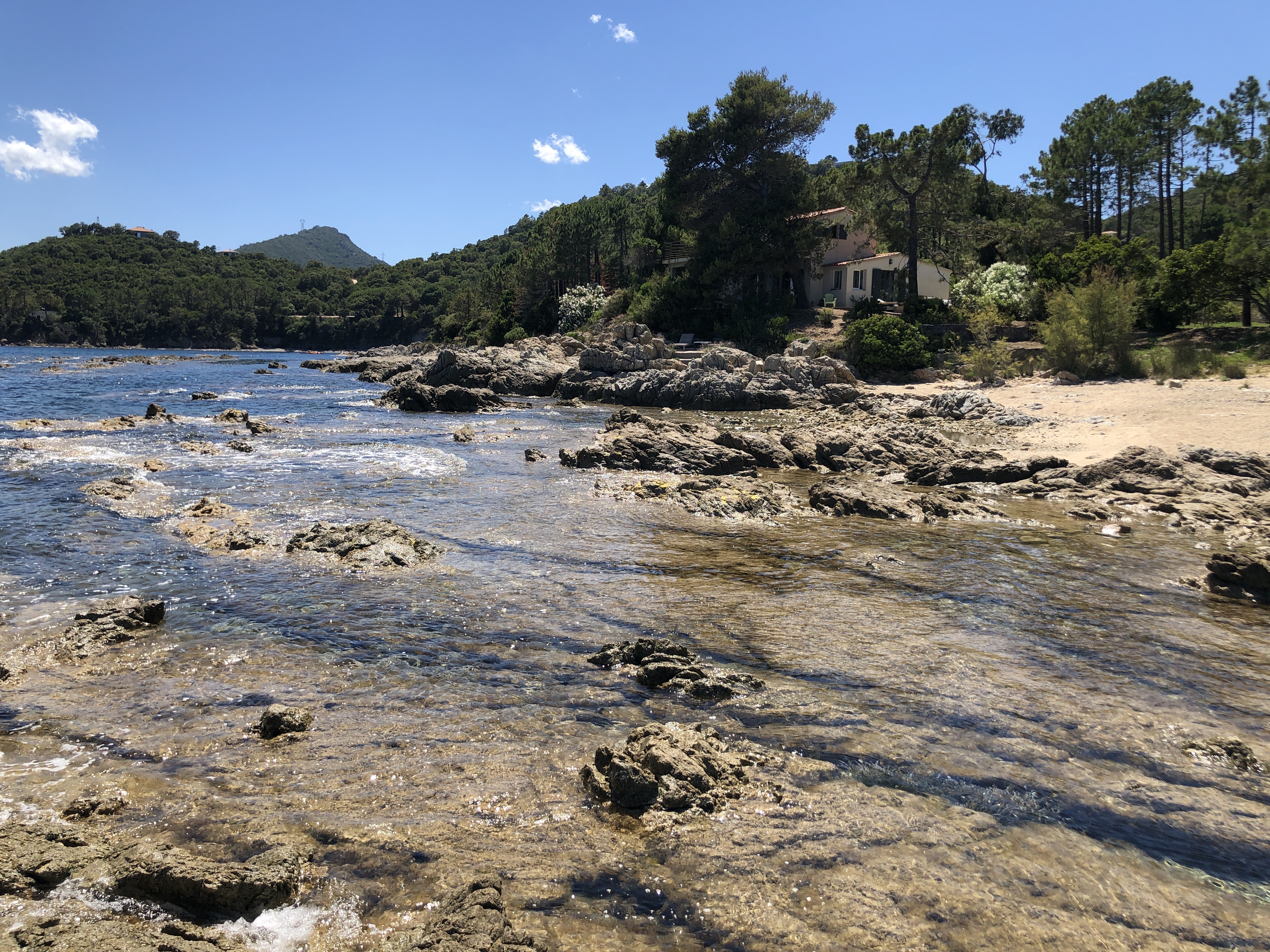 Photo n° 14 de l'avis de Lars.i fait le 25/06/2021 à 13:34