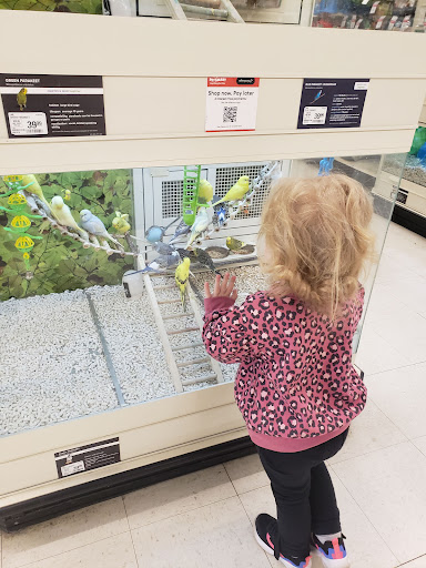 Pet Supply Store «PetSmart», reviews and photos, 1276 Bald Hill Rd, Warwick, RI 02886, USA