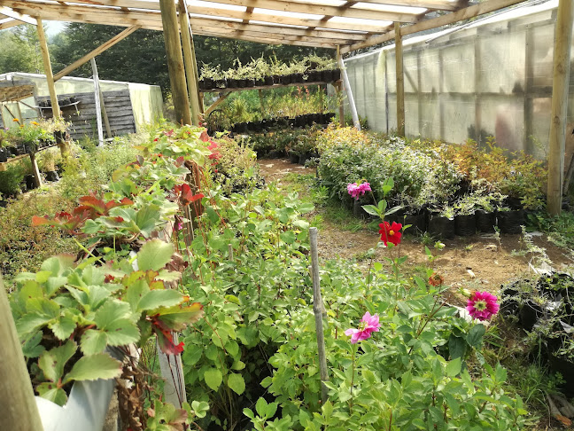 Vivero Florencia