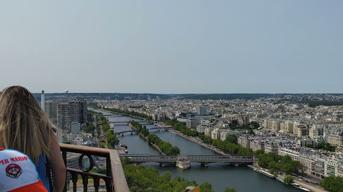 Rives de Seine à Paris