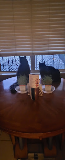 Pet Supply Store «Unleashed by Petco», reviews and photos, 600 Redondo Ave, Long Beach, CA 90814, USA