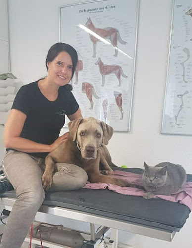 Physio für Hunde