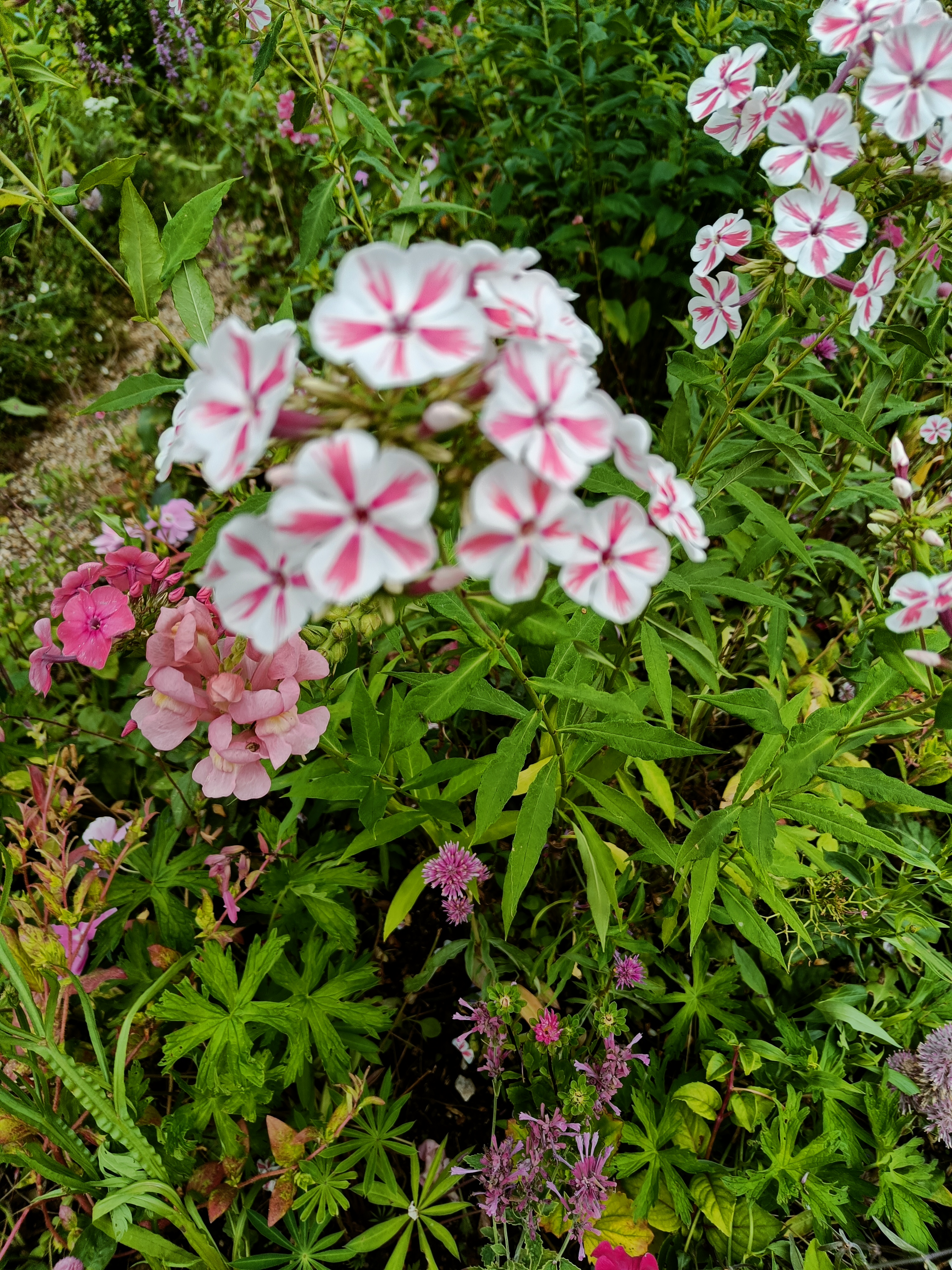 Photo n° 8 de l'avis de Mathéo.a fait le 07/07/2023 à 08:27