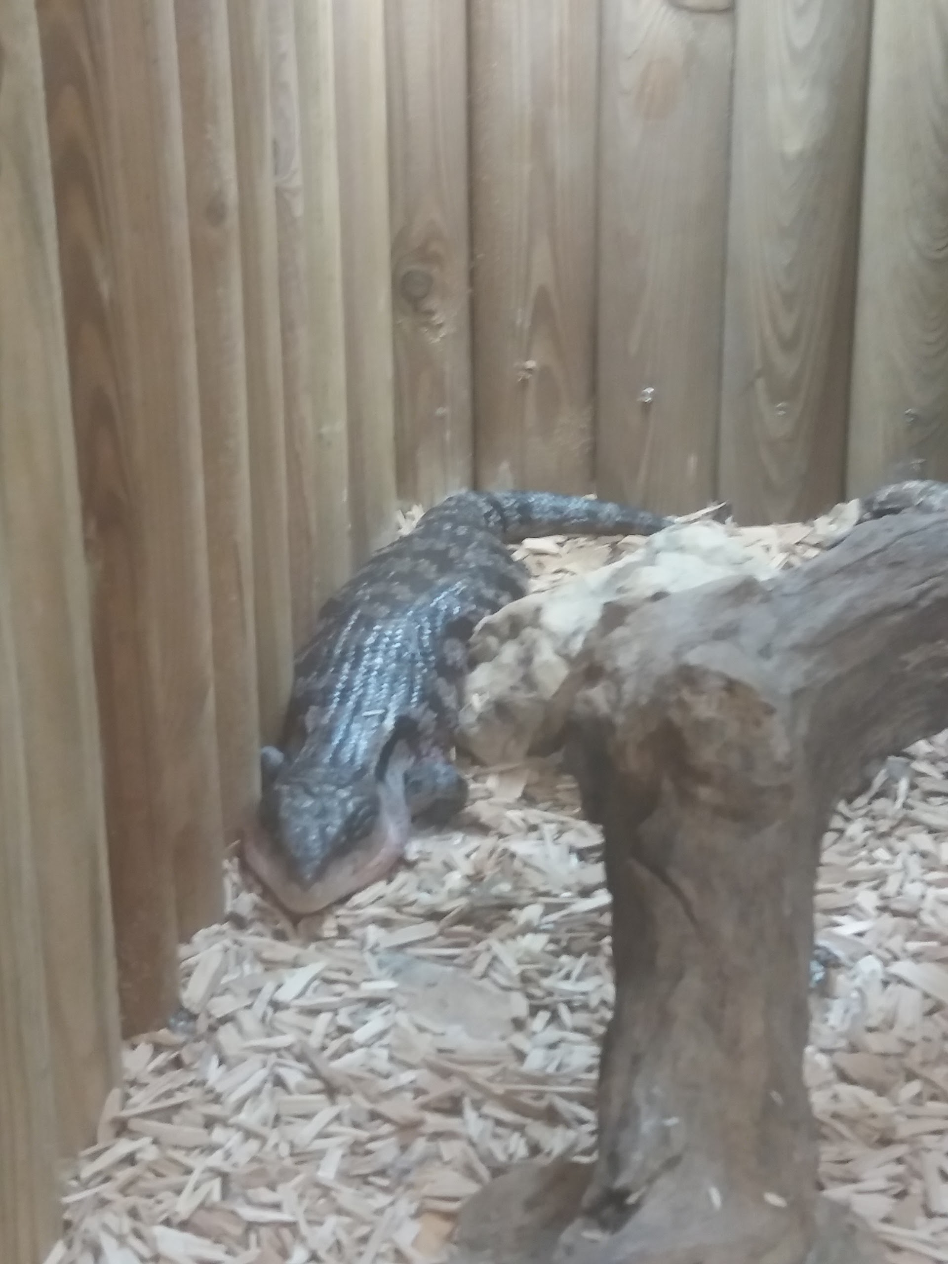 Photo n° 47 de l'avis de Damien.i fait le 21/08/2017 à 19:35