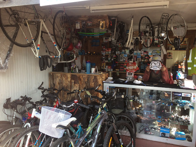 Opiniones de Taller Bicicletas Guido en Talcahuano - Tienda de bicicletas
