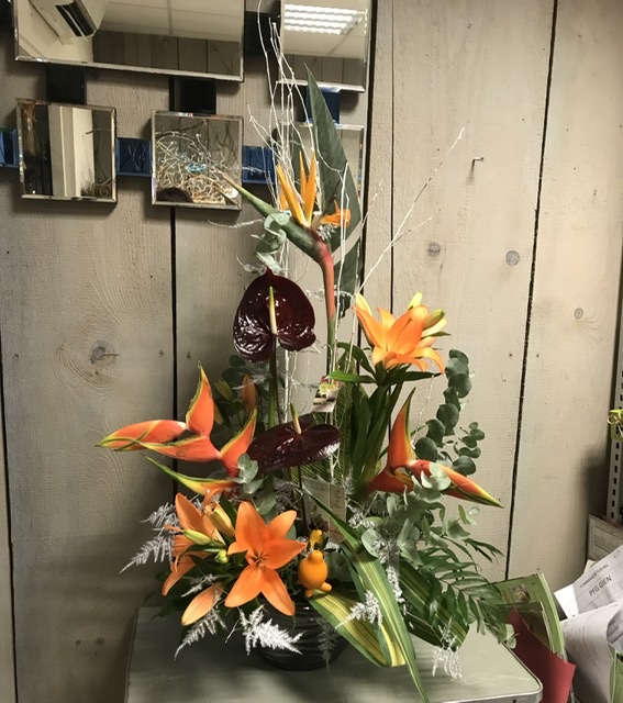 Photo n° 1 de l'avis de OLI.A fait le 27/12/2021 à 14:34