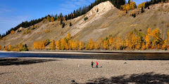 Cottonwood Island Nature Park