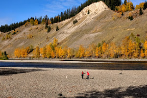 Cottonwood Island Nature Park