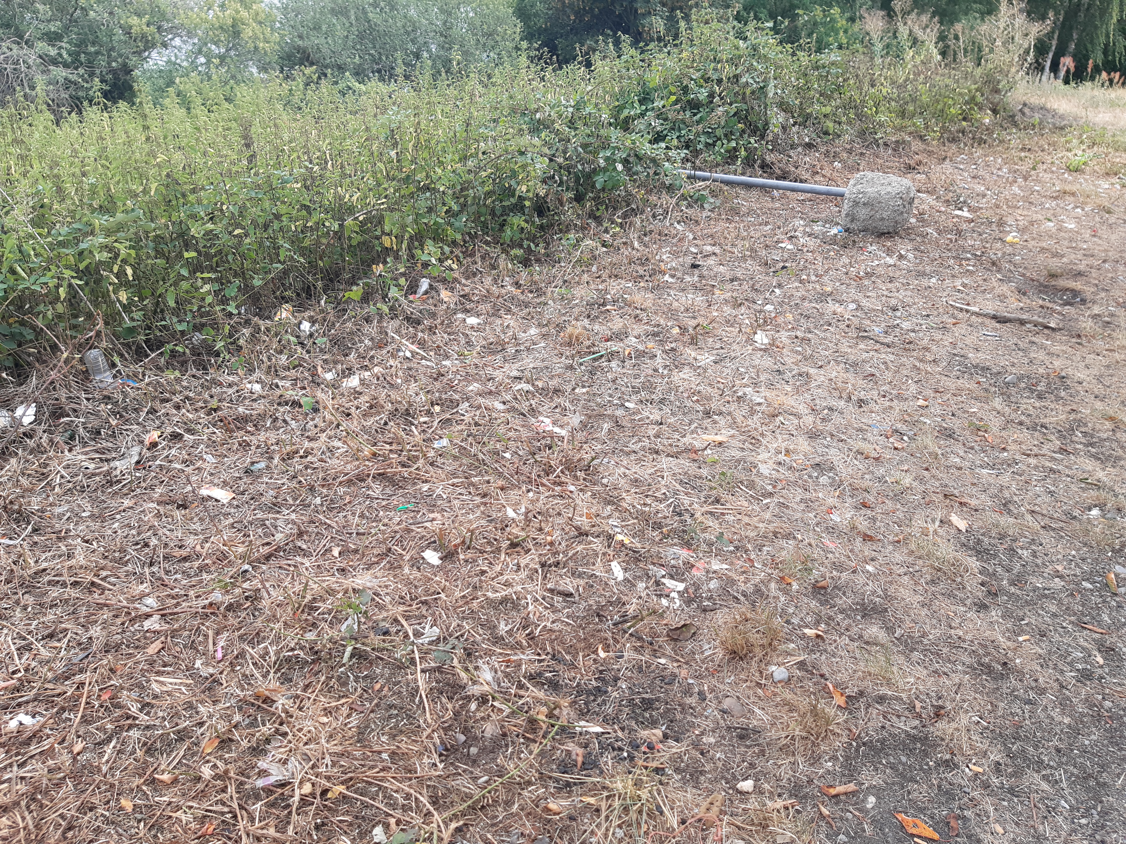 Photo n° 2 de l'avis de patrick.h fait le 17/07/2020 à 15:55