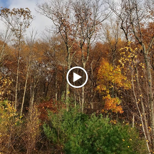 Golf Course «Berkshire Valley Golf Course», reviews and photos, 28 Cozy Lake Rd, Oak Ridge, NJ 07438, USA