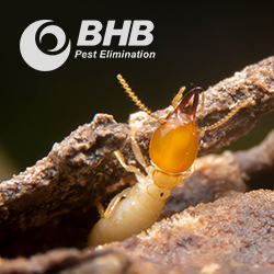 BHB Pest Elimination