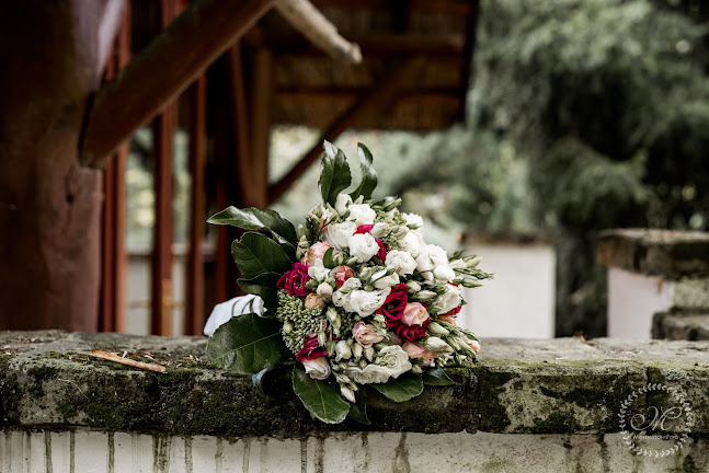 Értékelések erről a helyről: MenyasszonyFotó - esküvői fotózás, Szentendre - Fényképész