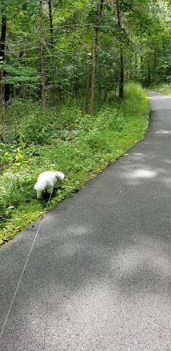 Physical Fitness Program «Franklin Lakes Community Center», reviews and photos, 1 Vichiconti Way, Franklin Lakes, NJ 07417, USA