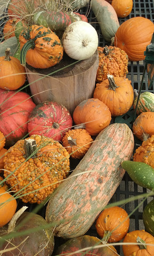 Hardware Store «Ace Hardware & Garden Center», reviews and photos, 20277 Wirt St, Elkhorn, NE 68022, USA