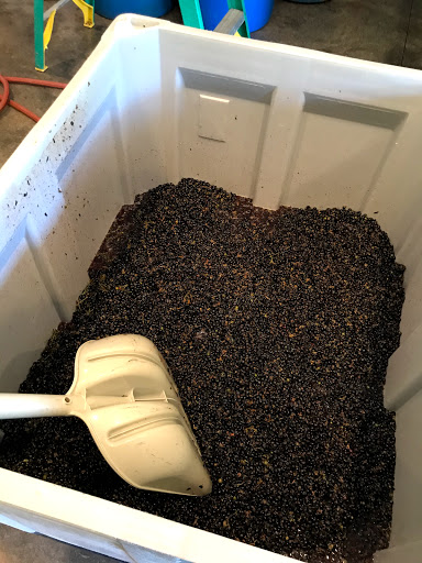 Winery «Oak Creek Vineyards & Winery», reviews and photos, 1555 N Page Springs Rd, Cornville, AZ 86325, USA