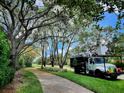 Full Tree Service