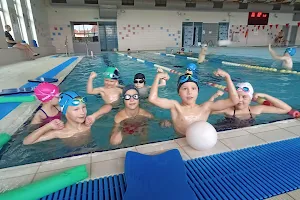 CKSWIMMERS - Szkoła pływania image