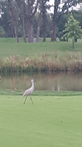 Golf Course «Bowes Creek Country Club», reviews and photos, 1250 Bowes Creek Blvd, Elgin, IL 60124, USA
