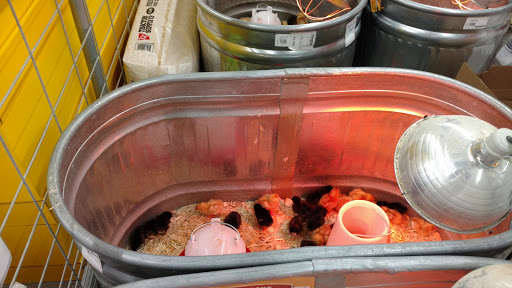 Home Improvement Store «Tractor Supply Co.», reviews and photos, 6622 6th St SW, Cedar Rapids, IA 52404, USA