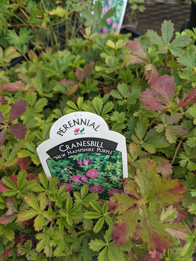 Wholesale Plant Nursery «Garden Fantasy», reviews and photos, 43250 Tyler Rd, Belleville, MI 48111, USA