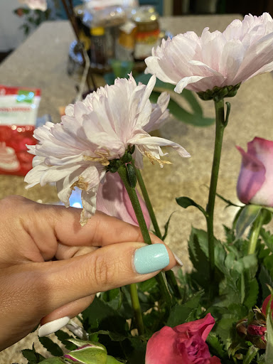 Florist «Flower Center», reviews and photos, 5659 Alpha Rd, Dallas, TX 75240, USA